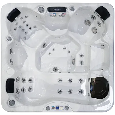 Avalon EC-849L hot tubs for sale in Rochester